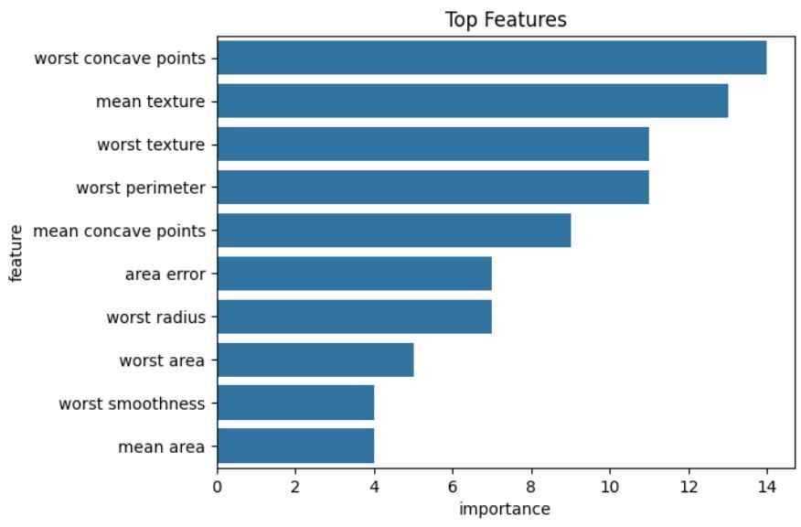 Top-Features