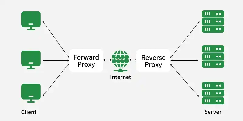 forward_proxy