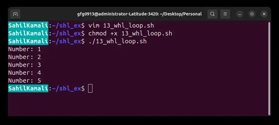 13_whl_loop