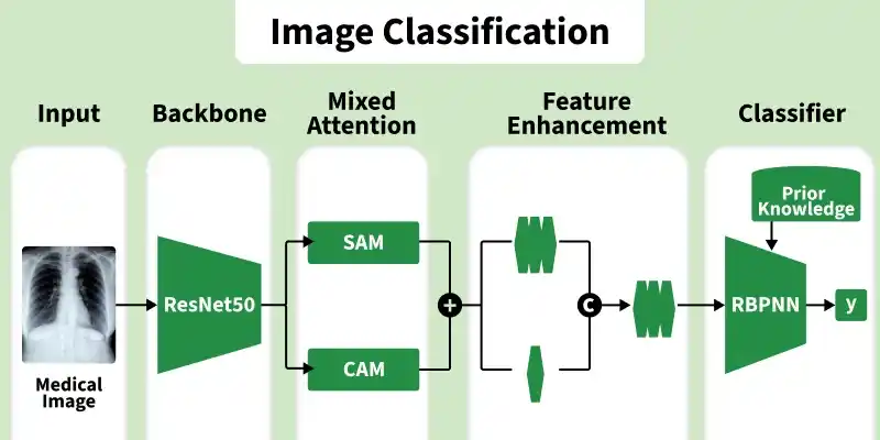 image_classification