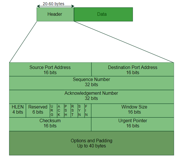 TCP Header Format