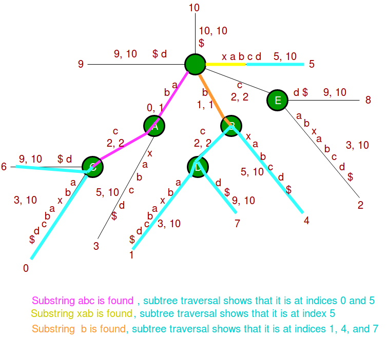 Suffix Tree Application