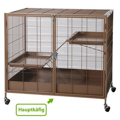 Barna főketrec fémráccsal, két szinttel és rámpákkal. Gurulós ketrec a könnyű mozgatáshoz.