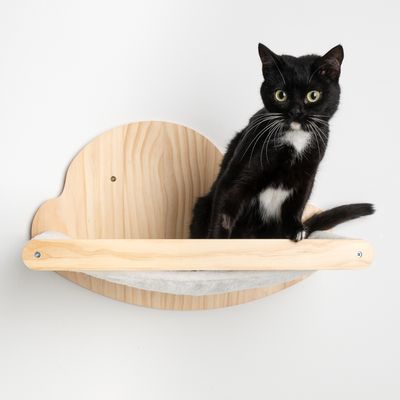 Schwarze Katze sitzt auf einer Wandhalterung aus Holz mit weissem Stoffeinsatz. Produkt zur Wandmontage für Haustiere.
