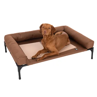 Erhöhtes braunes Hundebett mit gepolsterten Seiten und stabilem Metallrahmen.