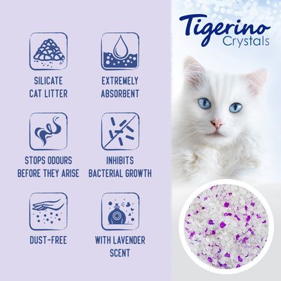 Silicate cat litter features: extremely absorbent, stops odours before they arise, inhibits bacterial growth, dust-free, with lavender scent. Image shows white and purple crystals.
