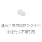 微信图片_20250718220209 拷贝.jpg