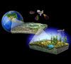 A precedent-setting, multidisciplinary infrastructure