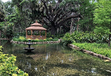 Gazebo and oak tree at Washington Oaks Gardens State Park. Photo courtesy Washington Oaks Gardens State Park