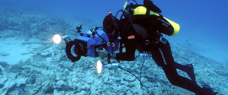 scientist diver