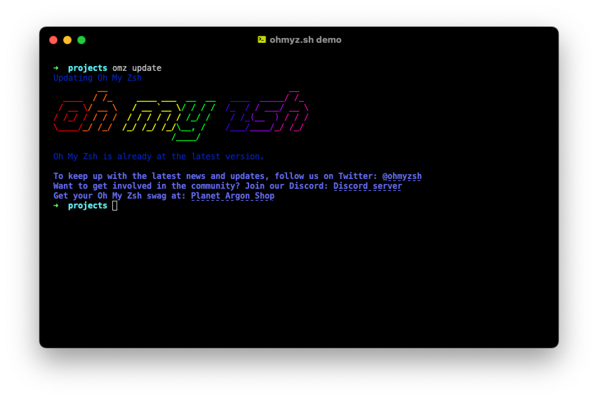 Auto-update Oh My Zsh