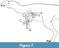 s figure7