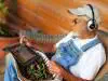Assurances : lettre d'un agriculteur