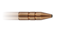 Bullets 300x162 PNG picture