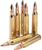 Bullets 249x300 PNG picture