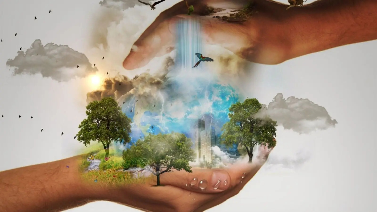 World Environment Day 2026
