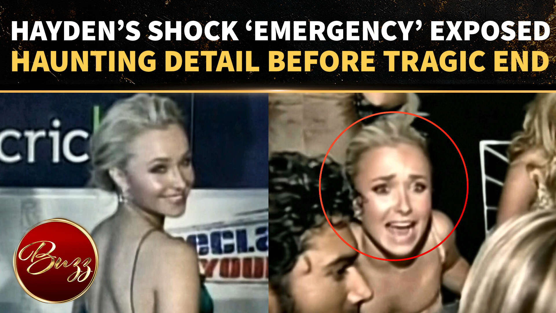 Hayden Panettiere &lsquo;Mystery Exit&rsquo; One Month Before Death: What Really Happened?