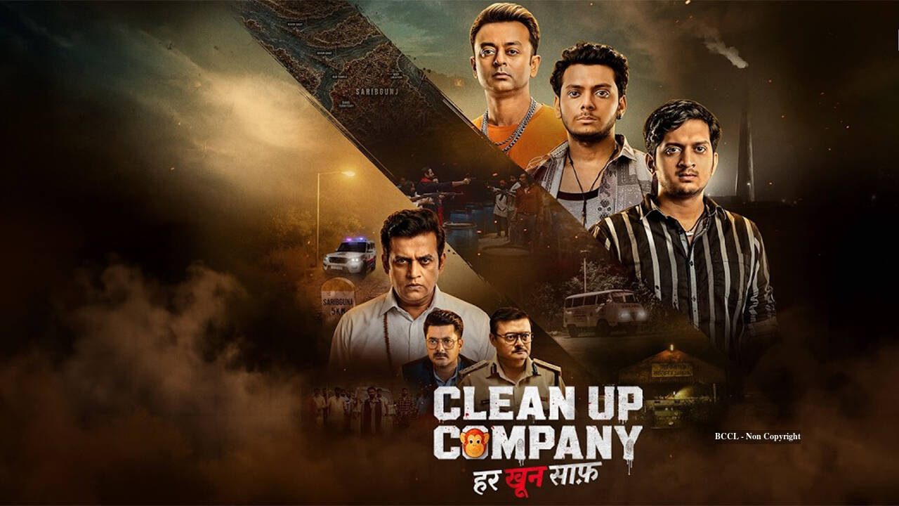 Clean-Up-CompanyDB