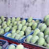 Article image for: Production in <i class="tbold">valsad</i>