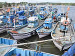 ​Goa's annual fishing ban begins for 60 days