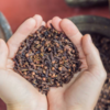 Side effects of cloves<em>​</em>