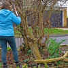 You can trim overhanging branches in general