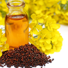 Article image for: Mustard oil: The traditional <i class="tbold">indian oil</i> that science is revisiting