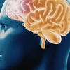 Your daily habits quietly shape your brain