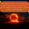 Solar Eclipse 2026 Live Updates: Millions of people will witness this rare celestial event; check visibility and time 
