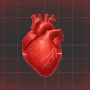 Article image for: Heart attacks rarely come out of nowhere. 10 stories that tell you what to watch for