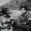 Article image for: Top 10 Feroz Khan songs