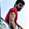 Article image for: See the latest photos of <i class="tbold">Rio Raj</i>