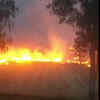 Article image for: Stubble burning: With elections winds blowing, crop-burning issue lost in fog