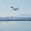 Article image for: Check out our latest images of <i class="tbold">world photography day</i>