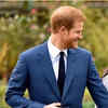 <i class="tbold">prince harry</i>