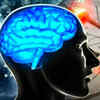 Article image for: Adult brain contains millions of silent synapses: Study