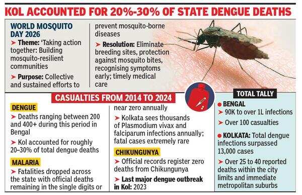 Mosquito-Borne Diseases Infected Over 1 L In State From ’14 To ’24: Docs