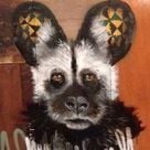 Ch Agathello's profile picture