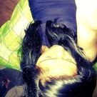 Arazeli Ara's profile picture