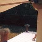 Lou's profile picture