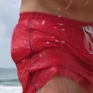 Daniel Pellegrino's profile picture