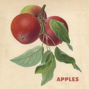 Apples