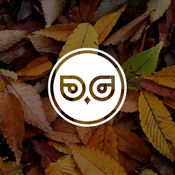 autumn 2019