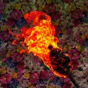 Remniqe - wildfire.mix