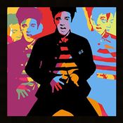 Elvis Presley - King Of Rock - Techno House Session