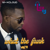 what the funk vol.41