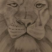 Roar! promo drum & bass mix