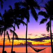 220606 Tropical House
