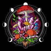 Hello Thursday Vol 37. ChromeDome