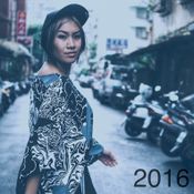 2016 VIBES IN REVIEW